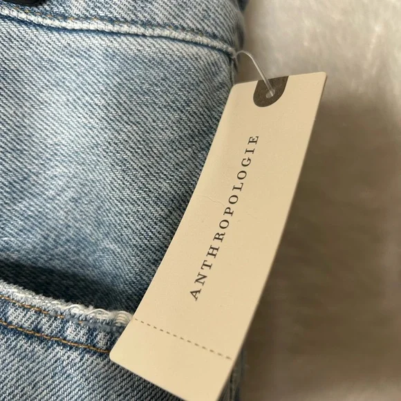 Agolde Classic Light Blue Jean Shorts